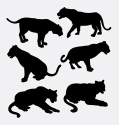 Lion panther and puma silhouette Royalty Free Vector Image