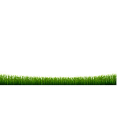 Grass borders big set Royalty Free Vector Image