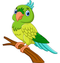 Macaw bird cartoon waving Royalty Free Vector Image