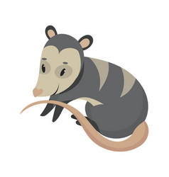 Possum Vector Images (over 320)