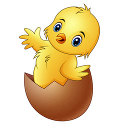 Cartoon chick hatching from an egg Royalty Free Vector Image