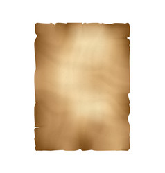 Old paper scroll vertical parchment ancient Vector Image