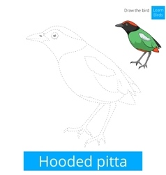 Hooded Pitta Bird Learn To Draw Royalty Free Vector Image