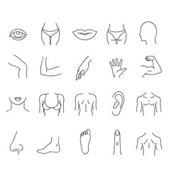 Human Body Parts Vector Images (over 15,000)