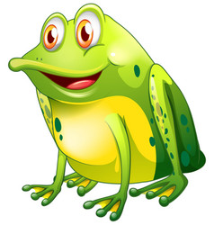 Green frog on white background Royalty Free Vector Image