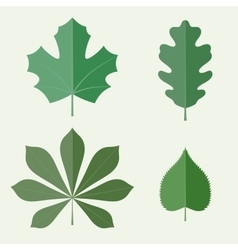 Multicolor autumn leaves flat icons fall Vector Image