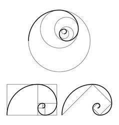 Golden Ratio Wave Vector Images (91)