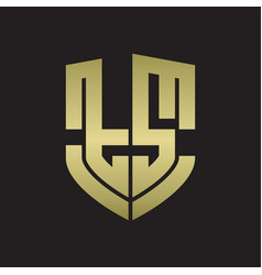Ts logo monogram with emblem shield design Vector Image