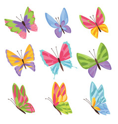 Watercolor colors butterflies isolated on white Vector Image