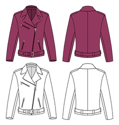 Jacket Royalty Free Vector Image - VectorStock