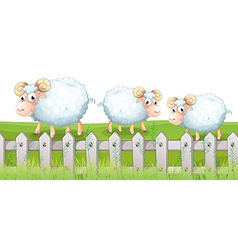 A sheep inside fence Royalty Free Vector Image