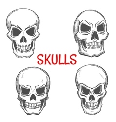 craniums skeleton sketch skulls vector images 72