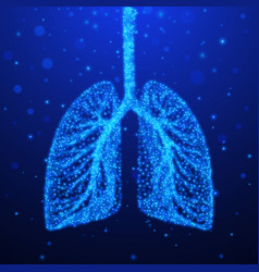 Human lungs respiratory system healthy lungs Vector Image