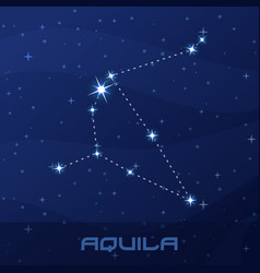Aquila Constellation with Beautiful Bright Stars Vector Image