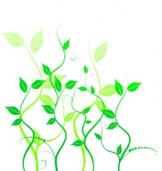 Vine Vector Images (over 61,000)