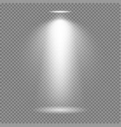 Spotlight effect on transparent background Vector Image