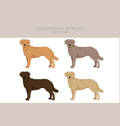 Chesapeake Bay Vector Images (38)