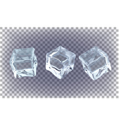 Ice cubes set Royalty Free Vector Image - VectorStock
