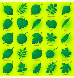 Leaves Of Plants Silhouettes Set Royalty Free Vector Image