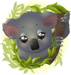 Pretty funny koala Royalty Free Vector Image - VectorStock