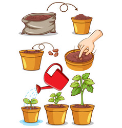 Clipart Plant Pot Vector Images (over 1,900)