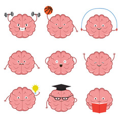 strong healthy sports and smart brain vector image