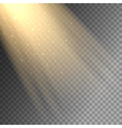 Sun Rays Transparent Background Vector Images Over 7 700