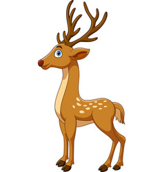 Cute baby deer cartoon jumping Royalty Free Vector Image