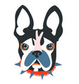 abstract papercut collage dog head vector image vector image