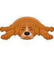 cute dog cartoon sleeping on white background vector image