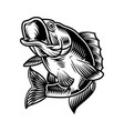 largemouth bass fish vintage concept vector image