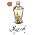 mexican drink mezcal from agave cactus vector image