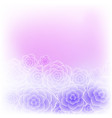 beautiful purple pink rose flower background vector image