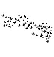 flying black silhouettes butterflies vector image vector image