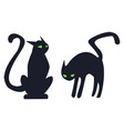 black cats vector image vector image