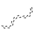 footprint path images vector image