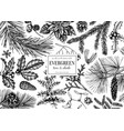 christmas greeting card or invitation design vector image