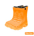 rubber boots isolated on white background vector image