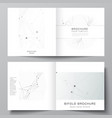 layout two covers templates for square vector image