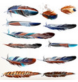 set of realistic colorful feathers vector image vector image