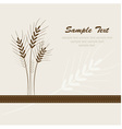 wheat background vector image