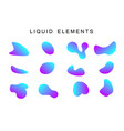 colorful gradient fluid shapes vector image