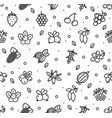 berries signs seamless pattern background vector image