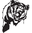 bear vector image