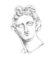bust apollo ancient greek god vector image