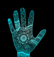 doodle decorative palm in ornaments blue color vector image