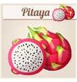 pitaya dragon fruit cartoon icon vector image