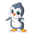cute baby boy penguin cartoon character vector image