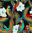 floral black background with parrots vector image