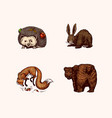 forest animals bear grizzly and red fox hare vector image vector image